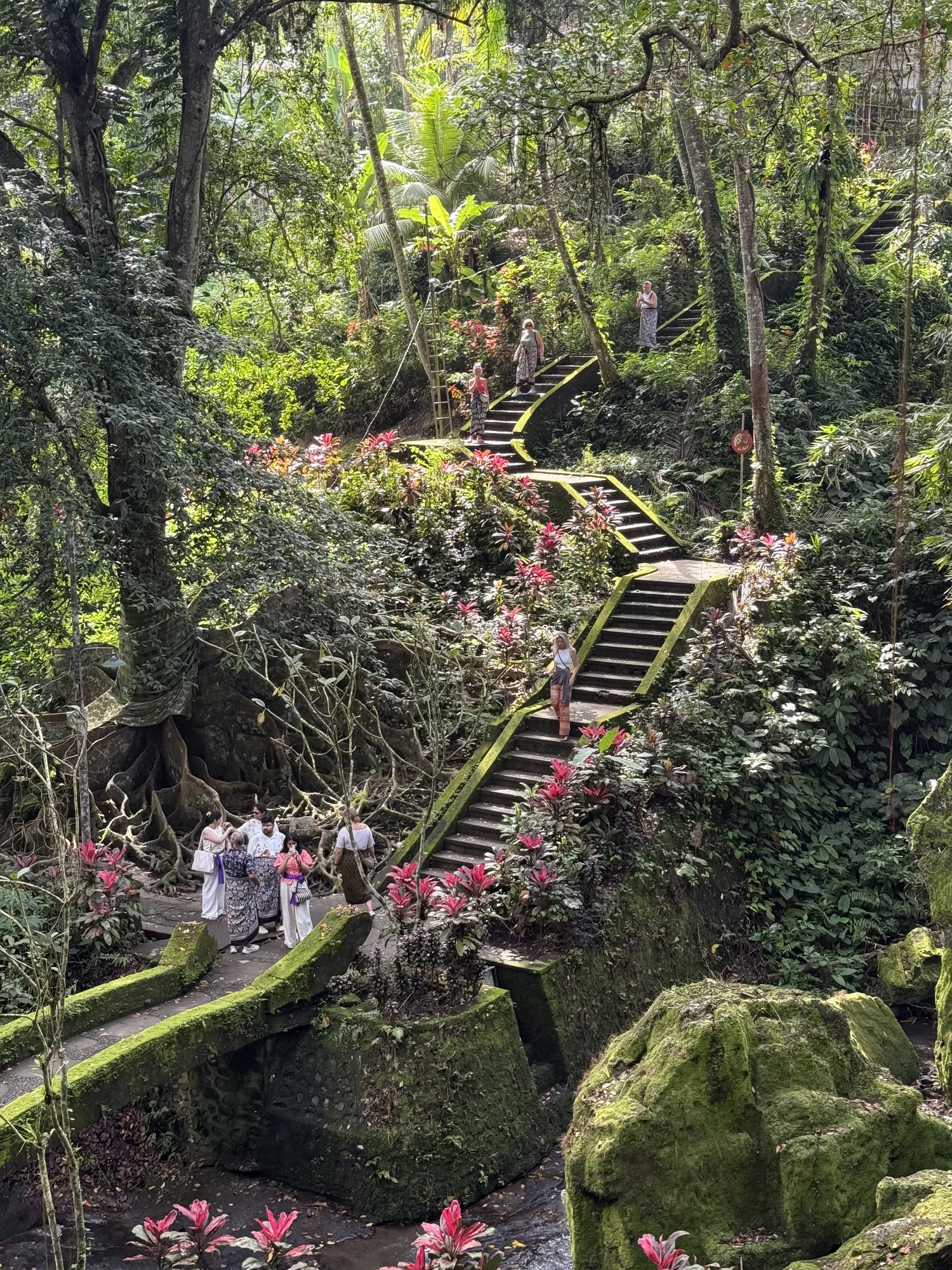 Mossy stone stairway through the jungle at the same temple